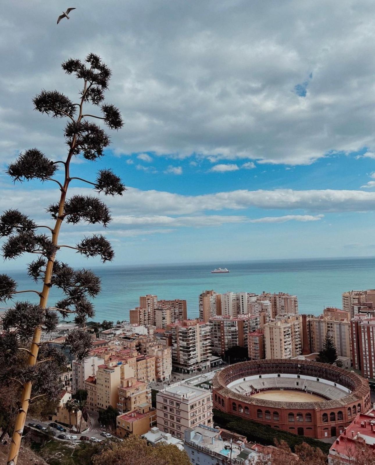 Welcome Home Málaga Extérieur photo